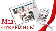 Открытие интернет-магазина MIREY GROUP